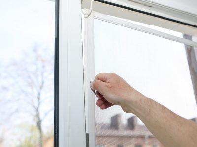 Man is installing the mosquito net on the window. Protection from bugs.